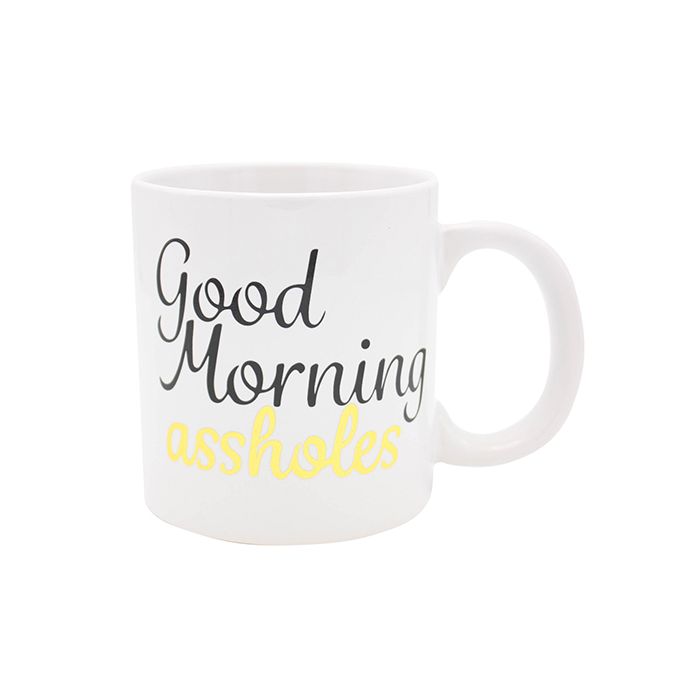 Attitude Mug Good Morning Asshole - 22 oz