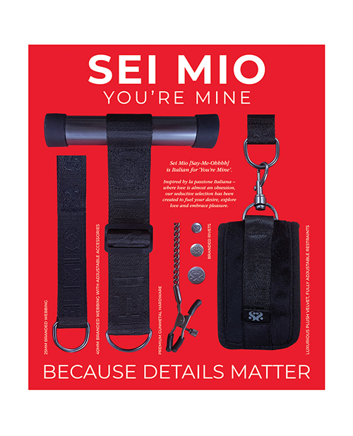 PROMO Sei Mio Details Matter - Components Info Board