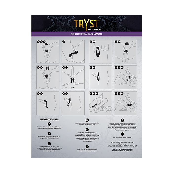 PROMO Tryst Diagram Poster