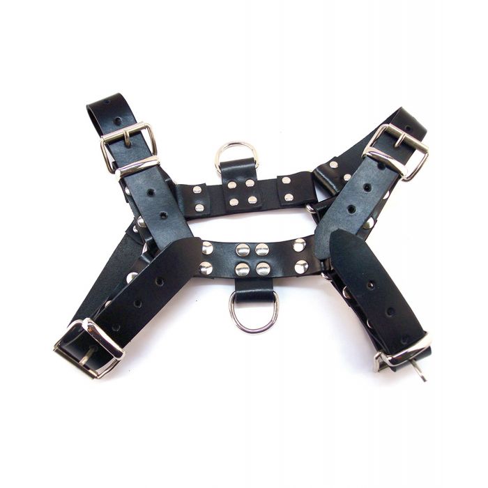 Rouge Over the Head Medium Harness - Black