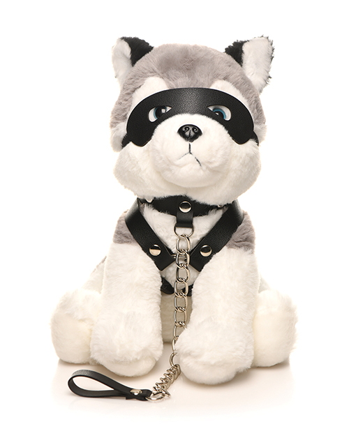 Master Series Max the Fetish Pup 