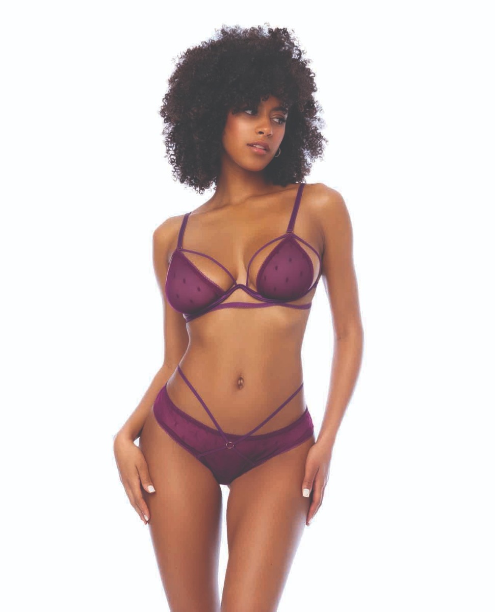 Dot Mesh Underwire Top w/Open Back Panty - Wine L/XL